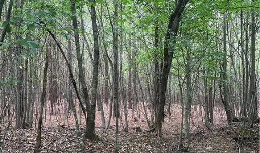 Photo #2 of Stokes School, Walnut Cove, NC 27.9 acres