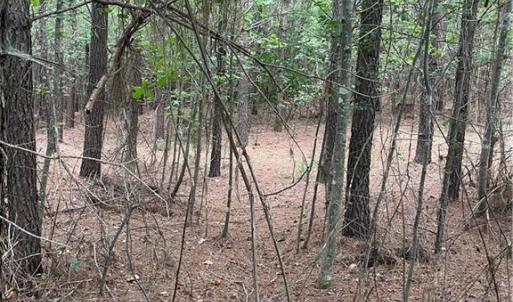Photo #3 of Stokes School, Walnut Cove, NC 27.9 acres
