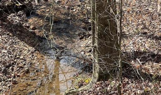Photo #6 of Friends Mission Road, Ararat, VA 97.5 acres
