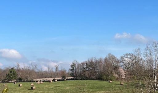Photo #3 of Friends Mission Road, Ararat, VA 97.5 acres