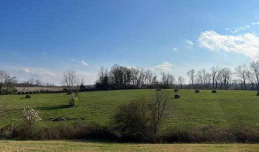 Photo #5 of Friends Mission Road, Ararat, VA 97.5 acres