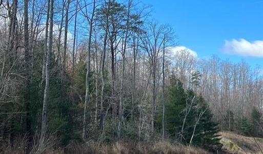 Photo #9 of Friends Mission Road, Ararat, VA 97.5 acres