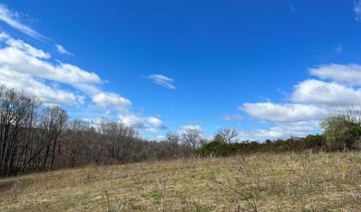Photo #11 of Friends Mission Road, Ararat, VA 97.5 acres