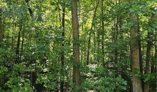 Photo #1 of Lot 408 Pine, Lexington, NC 0.1 acres