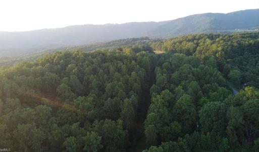 Photo #6 of 4749 Wards Gap, Cana, VA 27.8 acres