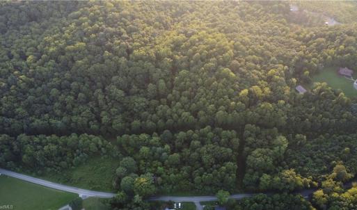Photo #12 of 4749 Wards Gap, Cana, VA 27.8 acres