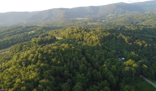 Photo #3 of 4749 Wards Gap, Cana, VA 27.8 acres