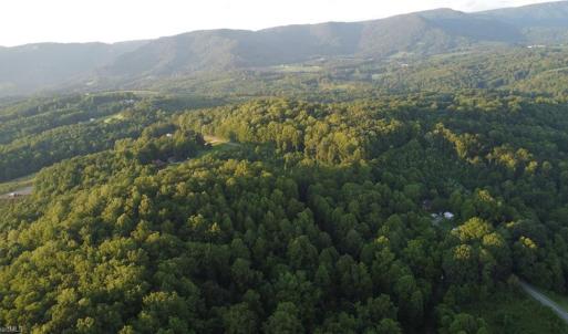 Photo #9 of 4749 Wards Gap, Cana, VA 27.8 acres