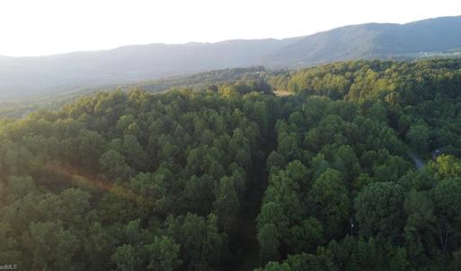 Photo #11 of 4749 Wards Gap, Cana, VA 27.8 acres