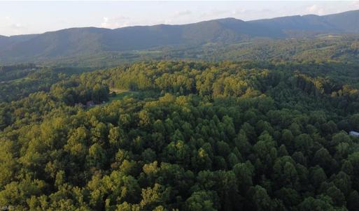 Photo #4 of 4749 Wards Gap, Cana, VA 27.8 acres