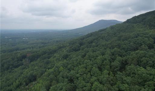 Photo #2 of Pine Tree, Pinnacle, NC 53.0 acres