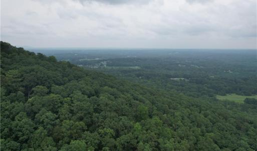 Photo #3 of Pine Tree, Pinnacle, NC 53.0 acres