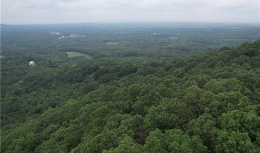 Photo #5 of Pine Tree, Pinnacle, NC 53.0 acres