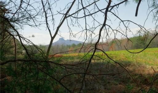 Photo #2 of 4 Old Mill, Pinnacle, NC 4.4 acres