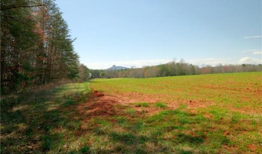 Photo #3 of 4 Old Mill, Pinnacle, NC 4.4 acres