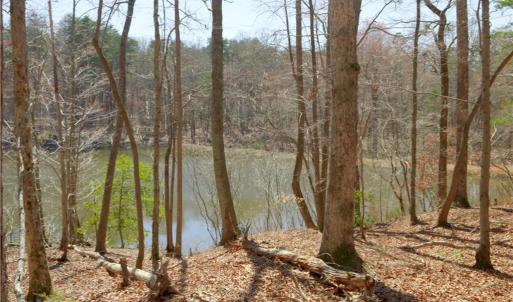 Photo #9 of 4 Old Mill, Pinnacle, NC 4.4 acres