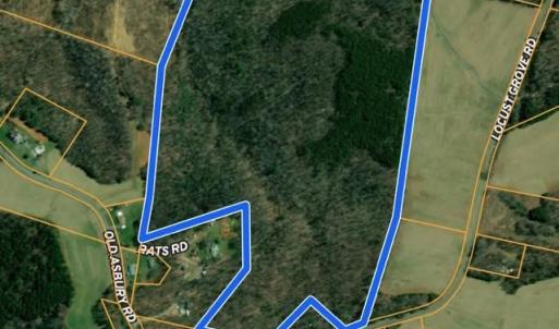 Photo #2 of Locust Grove, Westfield, NC 67.1 acres