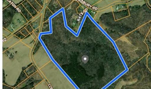 Photo #6 of Locust Grove, Westfield, NC 67.1 acres