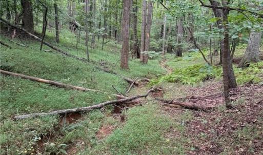 stream
