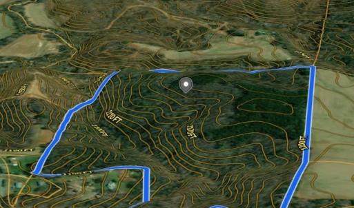Photo #5 of Locust Grove, Westfield, NC 67.1 acres