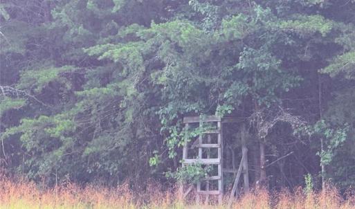hunting stand