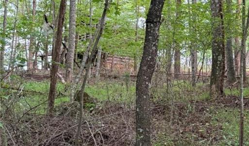 Photo #14 of Locust Grove, Westfield, NC 67.1 acres