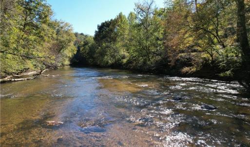 Photo #2 of Seven Island, Danbury, NC 66.5 acres