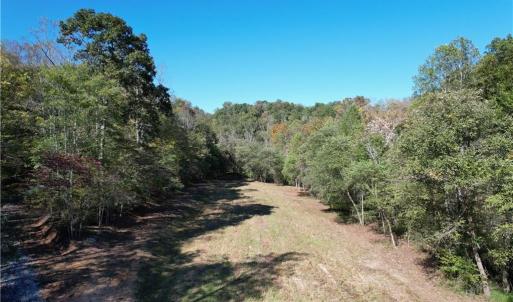 Photo #6 of Seven Island, Danbury, NC 66.5 acres