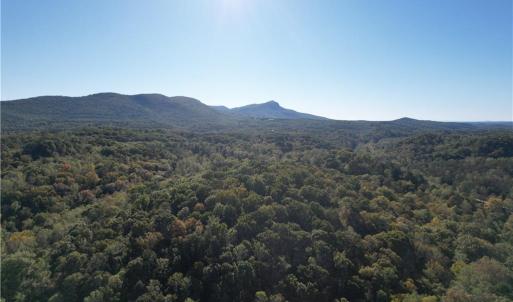 Photo #3 of Seven Island, Danbury, NC 66.5 acres