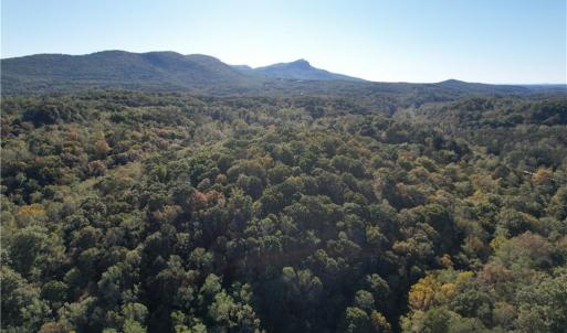 Photo #4 of Seven Island, Danbury, NC 66.5 acres