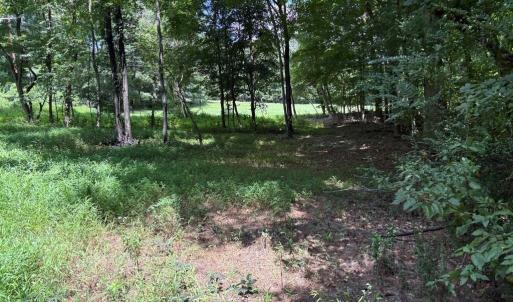 Photo #10 of 3518 Oneida, Greensboro, NC 10.9 acres