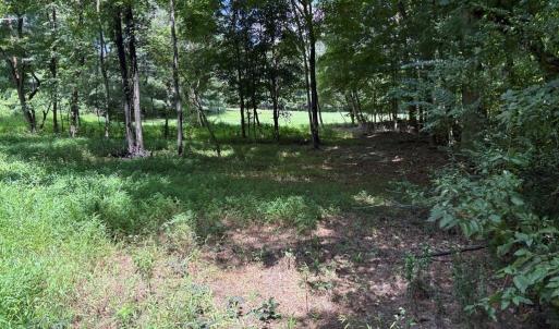 Photo #10 of 3518 Oneida, Greensboro, NC 10.9 acres