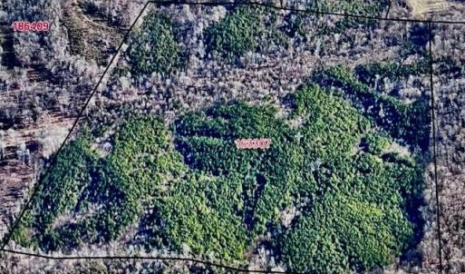 Photo #1 of Tate, Reidsville, NC 92.2 acres
