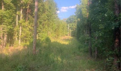 Photo #2 of Graham Davis, Denton, NC 17.1 acres