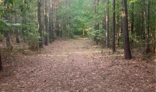 Photo #17 of Graham Davis, Denton, NC 17.1 acres