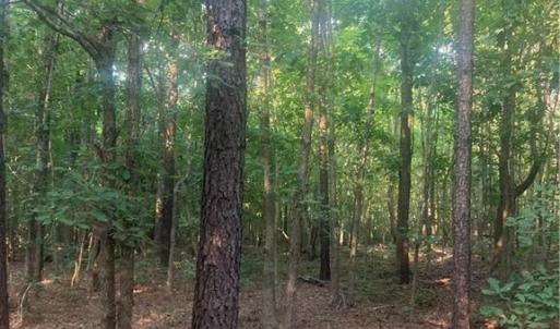Photo #16 of Graham Davis, Denton, NC 17.1 acres