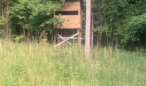 Photo #3 of Graham Davis, Denton, NC 17.1 acres