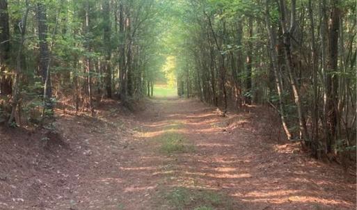 Photo #20 of Graham Davis, Denton, NC 17.1 acres