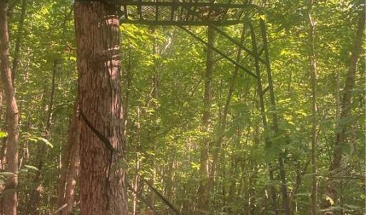 Photo #10 of Graham Davis, Denton, NC 17.1 acres