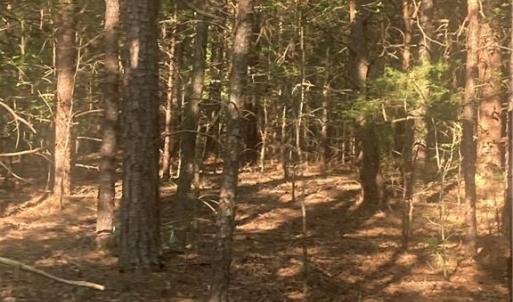 Photo #14 of Graham Davis, Denton, NC 17.1 acres
