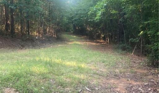 Photo #18 of Graham Davis, Denton, NC 17.1 acres