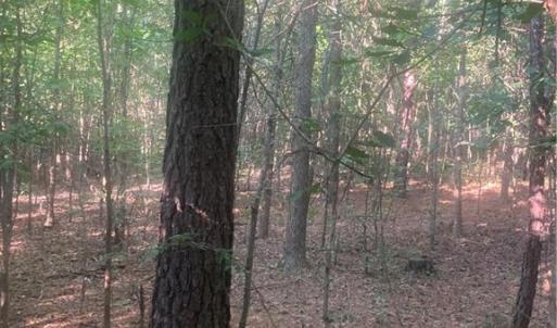 Photo #15 of Graham Davis, Denton, NC 17.1 acres