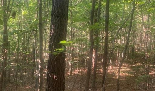 Photo #11 of Graham Davis, Denton, NC 17.1 acres