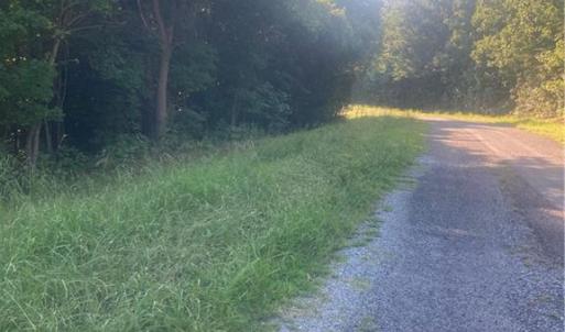 Photo #19 of Graham Davis, Denton, NC 17.1 acres