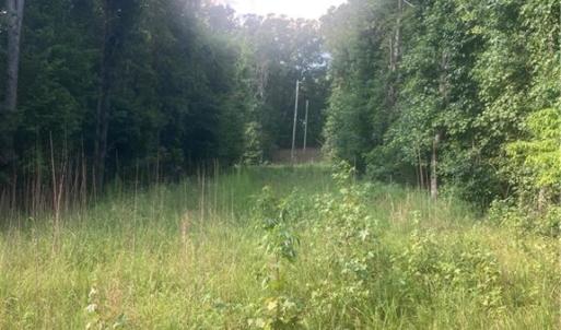 Photo #4 of Graham Davis, Denton, NC 17.1 acres