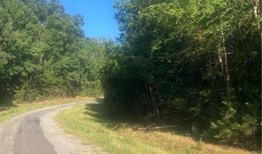 Photo #21 of Graham Davis, Denton, NC 17.1 acres