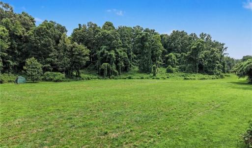 Photo #23 of 543 Bald Hill Loop, Madison, NC 31.4 acres