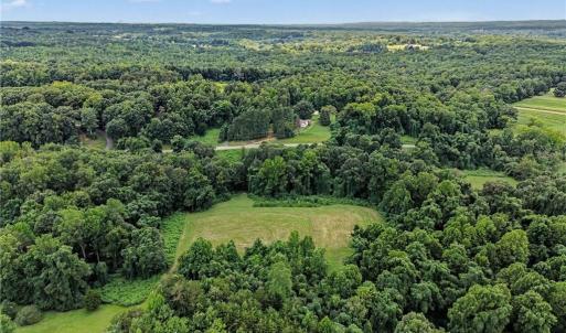 Photo #27 of 543 Bald Hill Loop, Madison, NC 31.4 acres