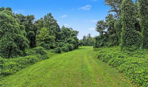 Photo #2 of 543 Bald Hill Loop, Madison, NC 31.4 acres