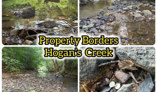 Photo #6 of 543 Bald Hill Loop, Madison, NC 31.4 acres